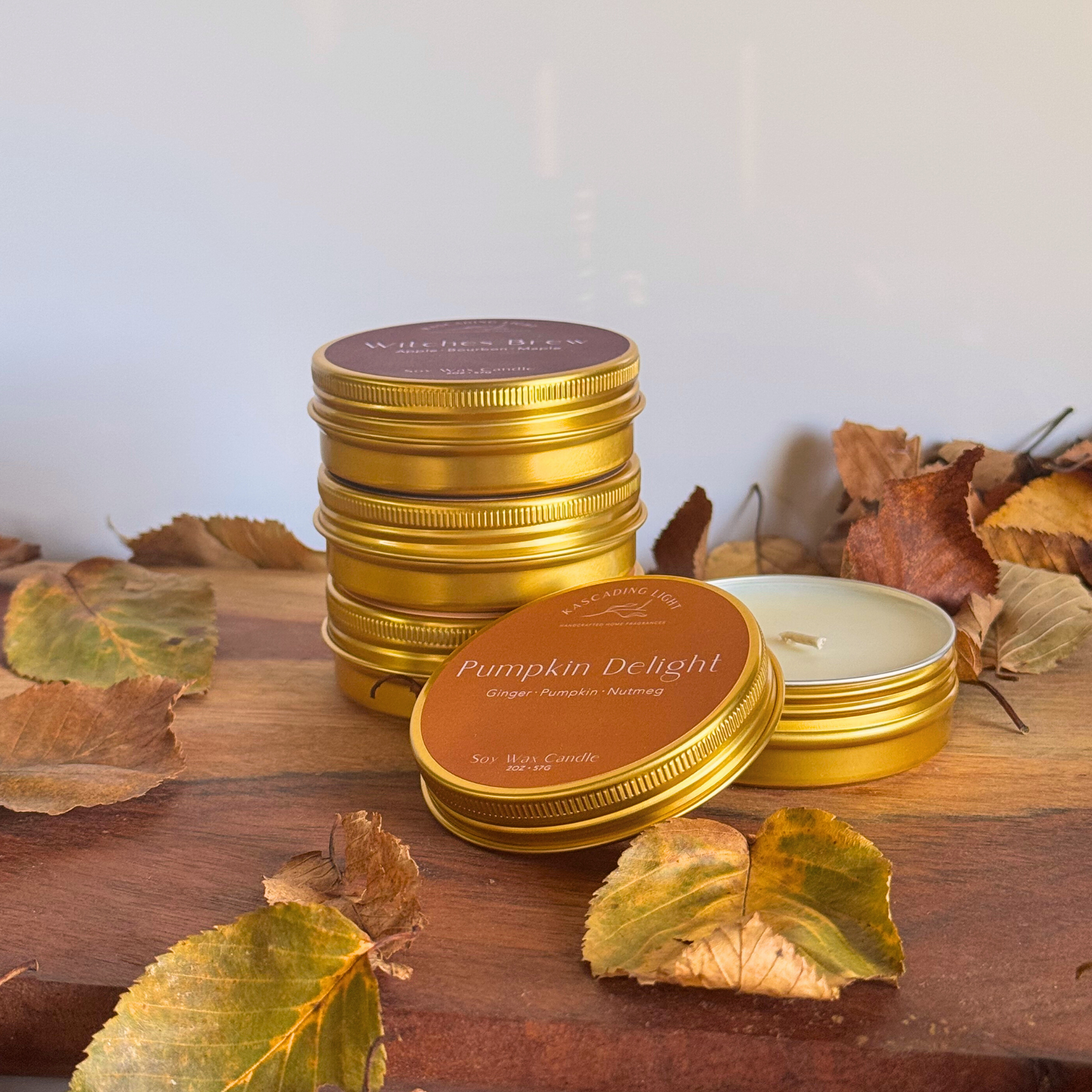 Fall Sampler